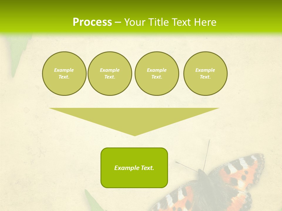 Beautiful Decoration Border PowerPoint Template