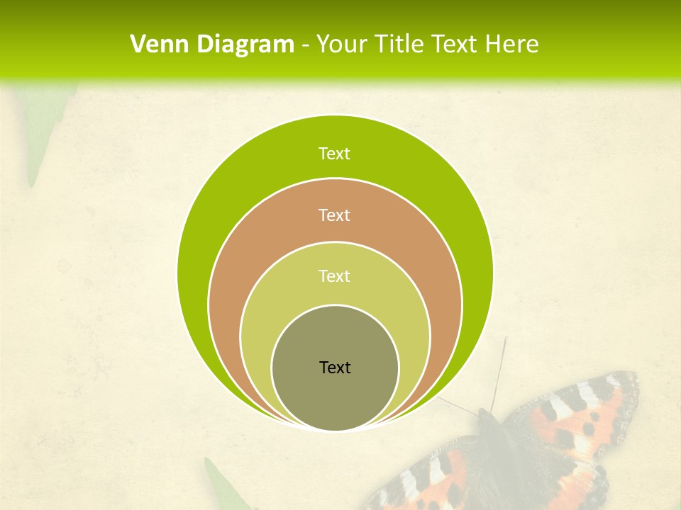 Beautiful Decoration Border PowerPoint Template