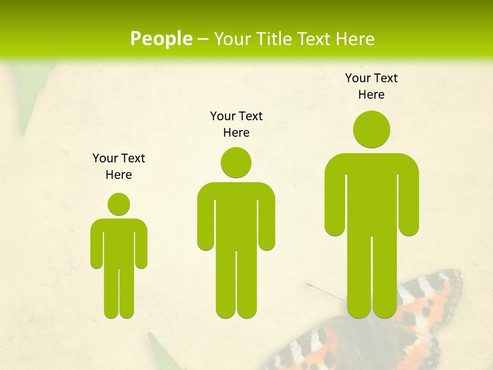 Beautiful Decoration Border PowerPoint Template