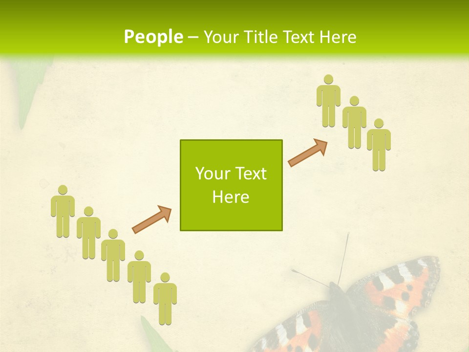 Beautiful Decoration Border PowerPoint Template