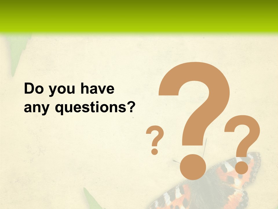 Beautiful Decoration Border PowerPoint Template