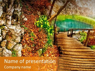 Wooden Path PowerPoint Template