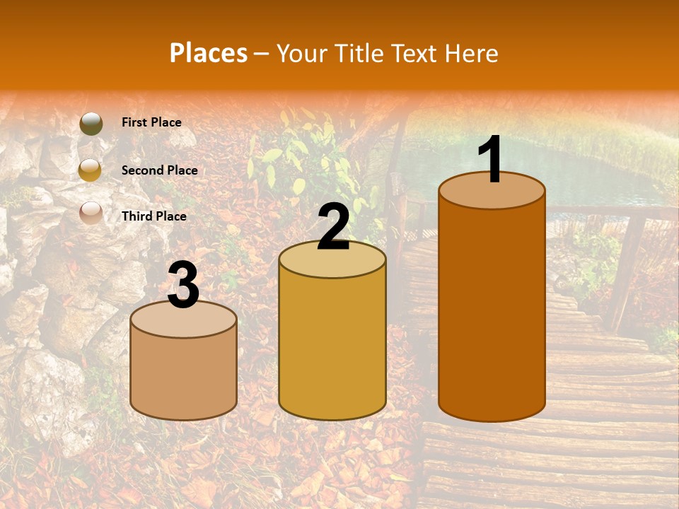 Wooden Path PowerPoint Template