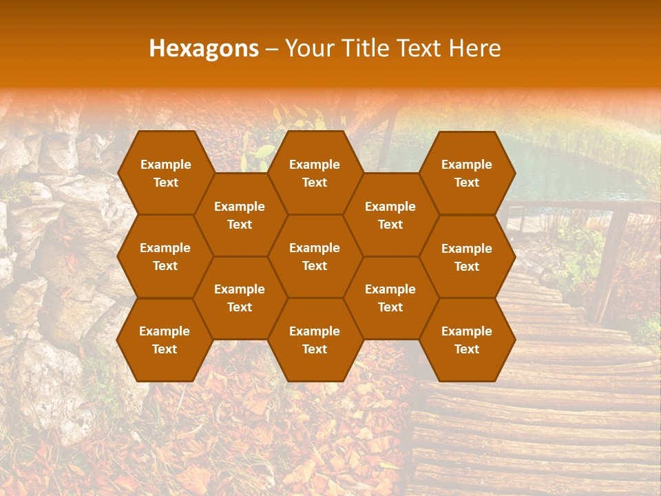 Wooden Path PowerPoint Template