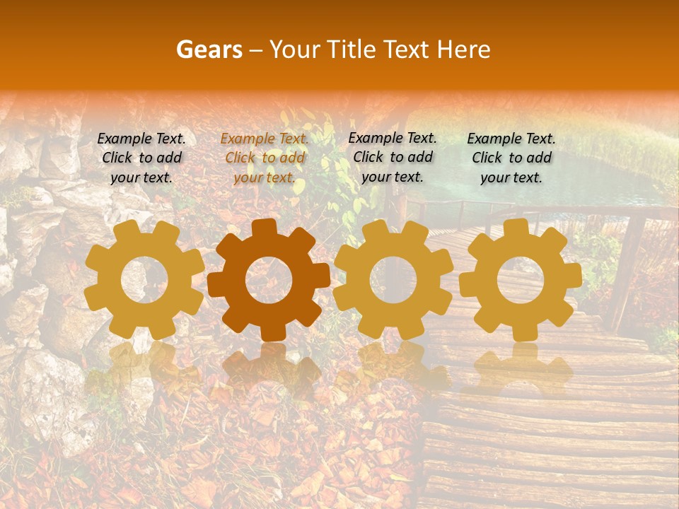 Wooden Path PowerPoint Template