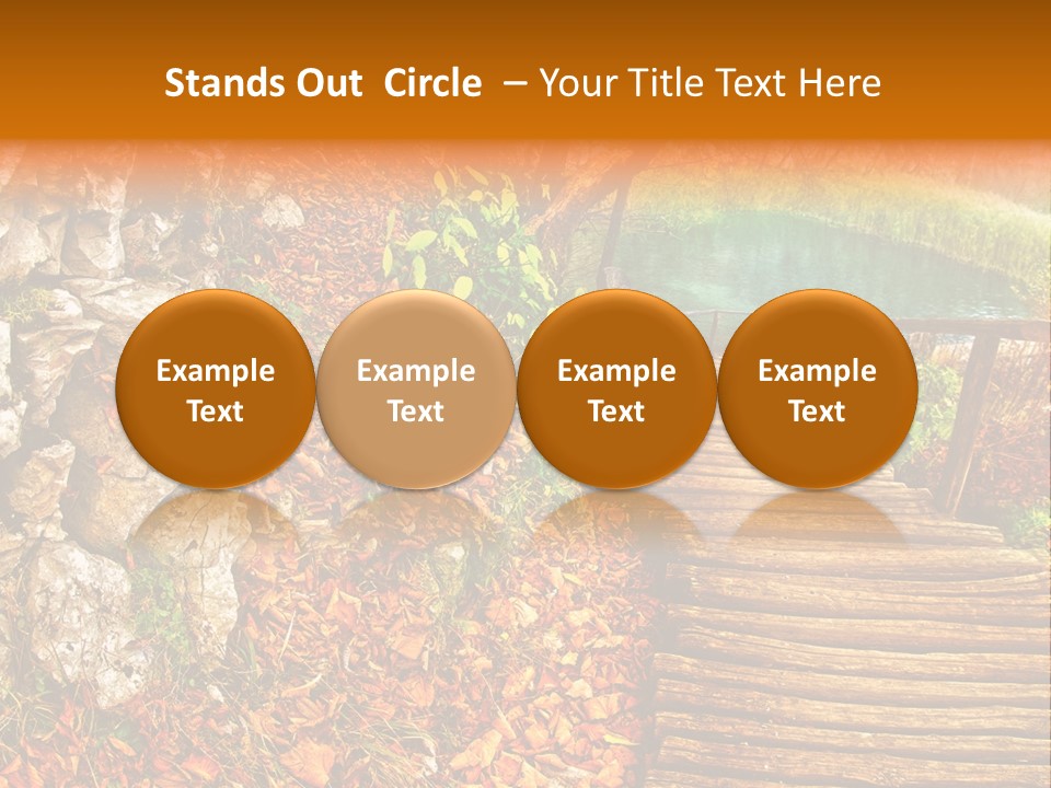 Wooden Path PowerPoint Template