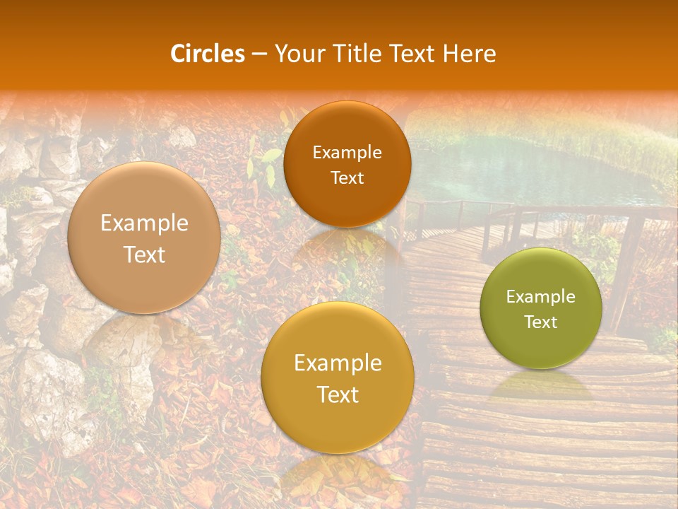 Wooden Path PowerPoint Template