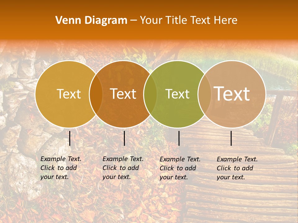 Wooden Path PowerPoint Template