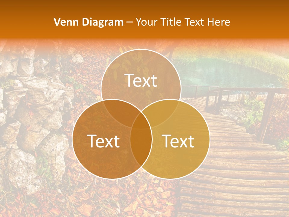 Wooden Path PowerPoint Template