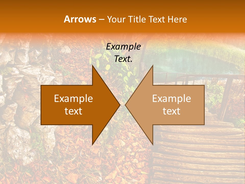 Wooden Path PowerPoint Template