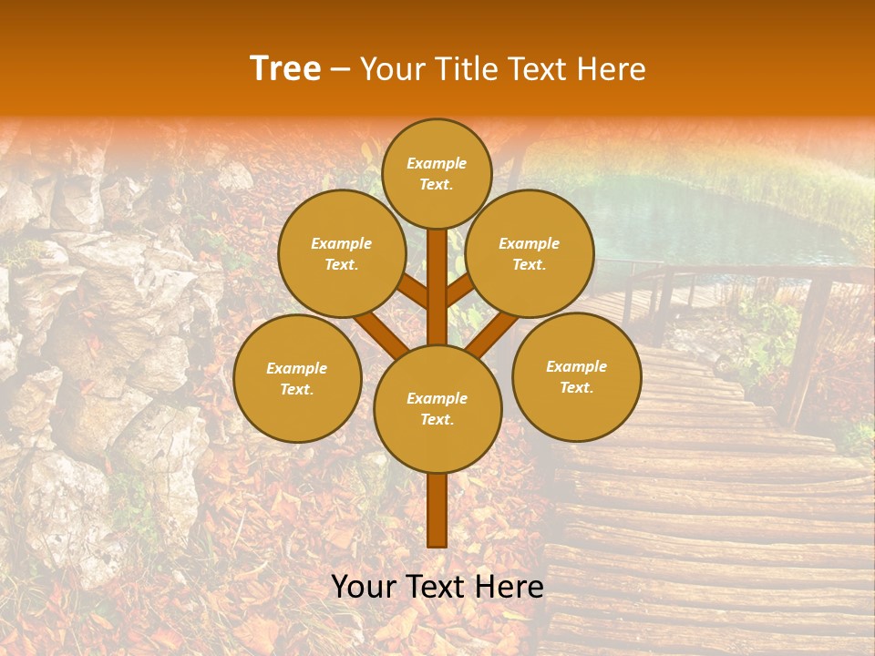 Wooden Path PowerPoint Template