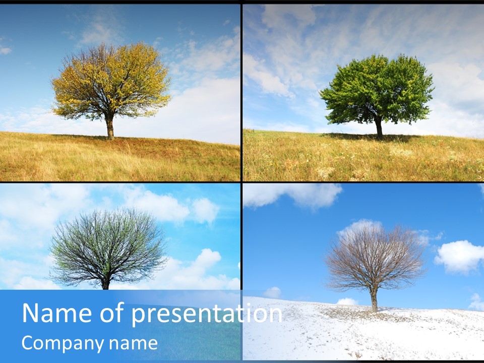 Bare Agriculture Lonely PowerPoint Template