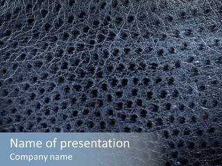 Coarse Wallpaper Nature PowerPoint Template