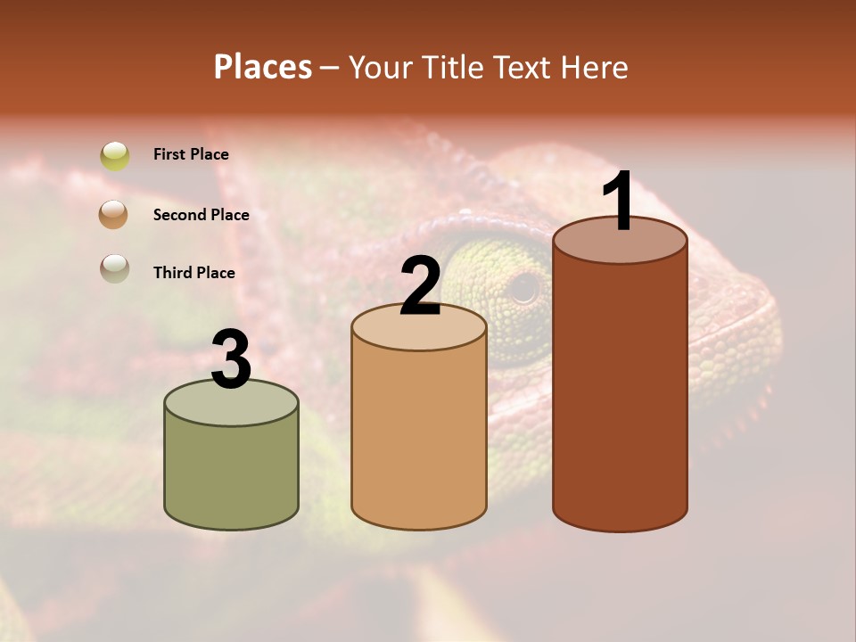 Effect Color Macro PowerPoint Template