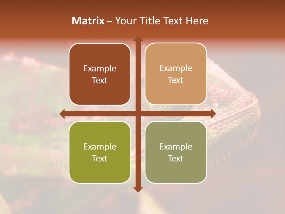 Effect Color Macro PowerPoint Template