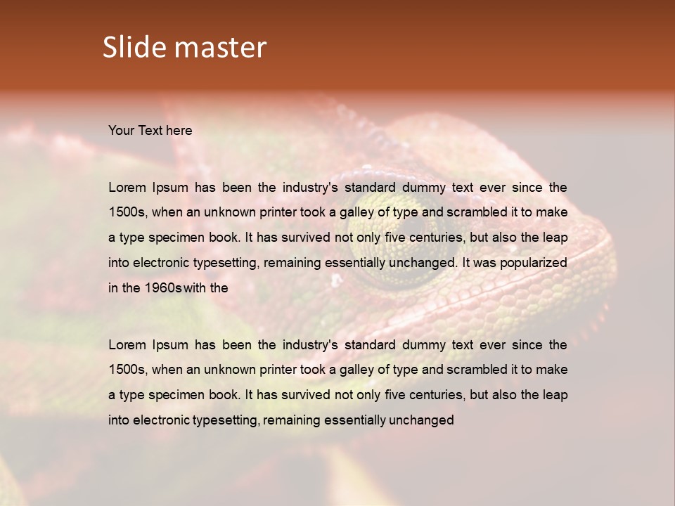 Effect Color Macro PowerPoint Template