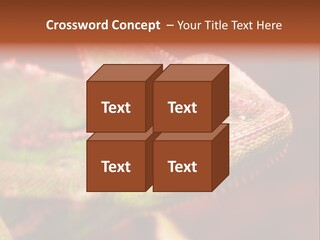 Effect Color Macro PowerPoint Template