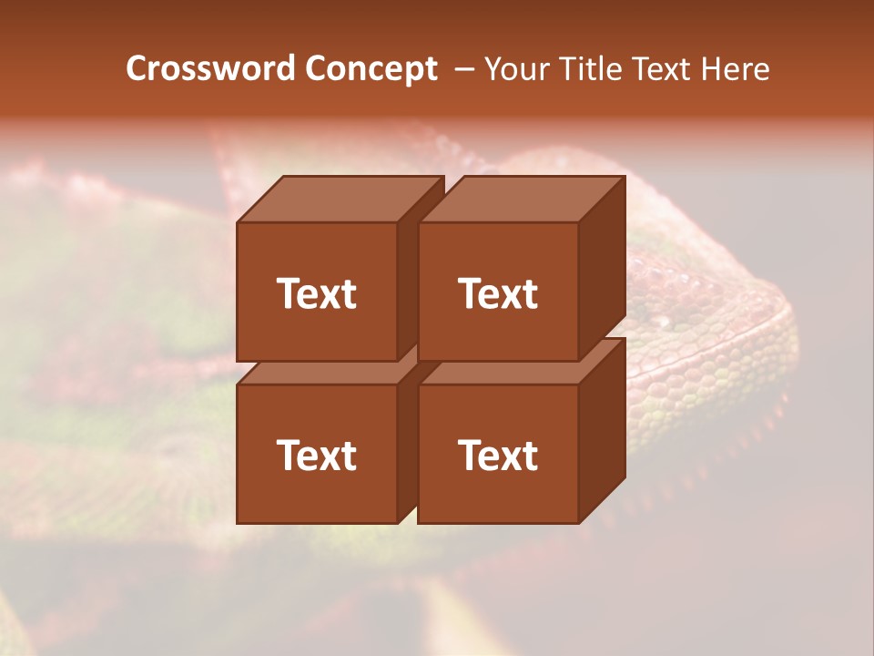 Effect Color Macro PowerPoint Template
