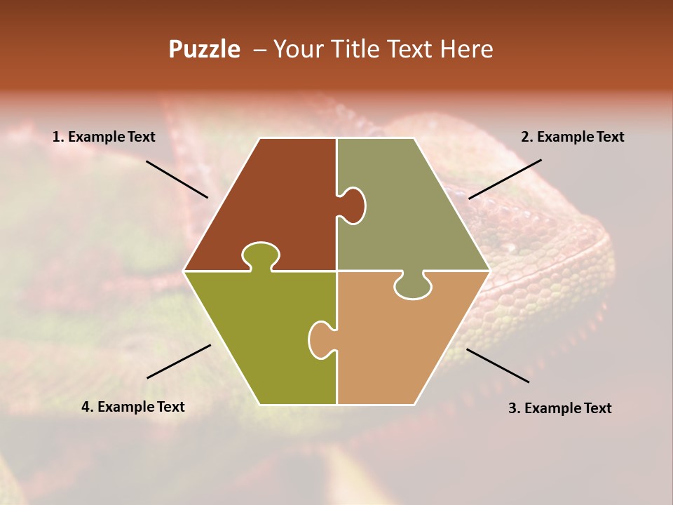 Effect Color Macro PowerPoint Template