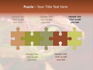 Effect Color Macro PowerPoint Template