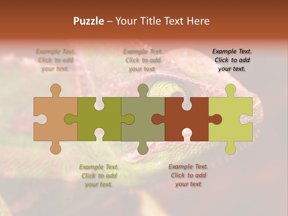 Effect Color Macro PowerPoint Template