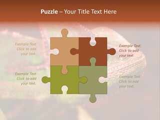 Effect Color Macro PowerPoint Template