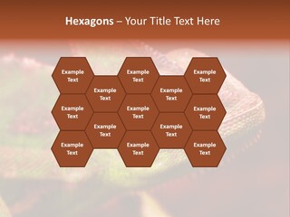 Effect Color Macro PowerPoint Template