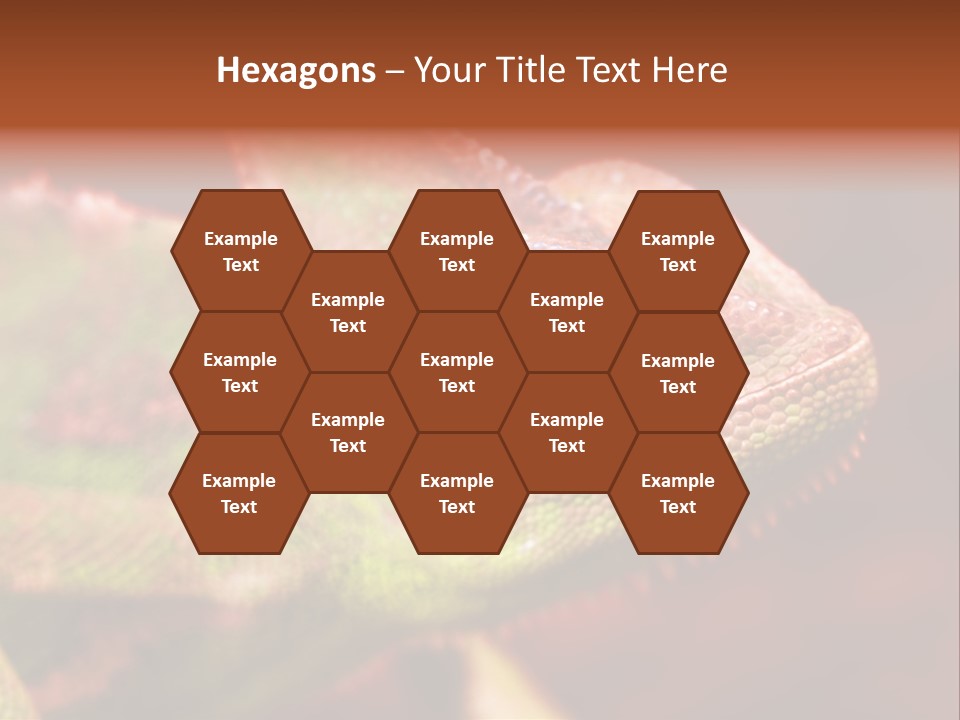 Effect Color Macro PowerPoint Template