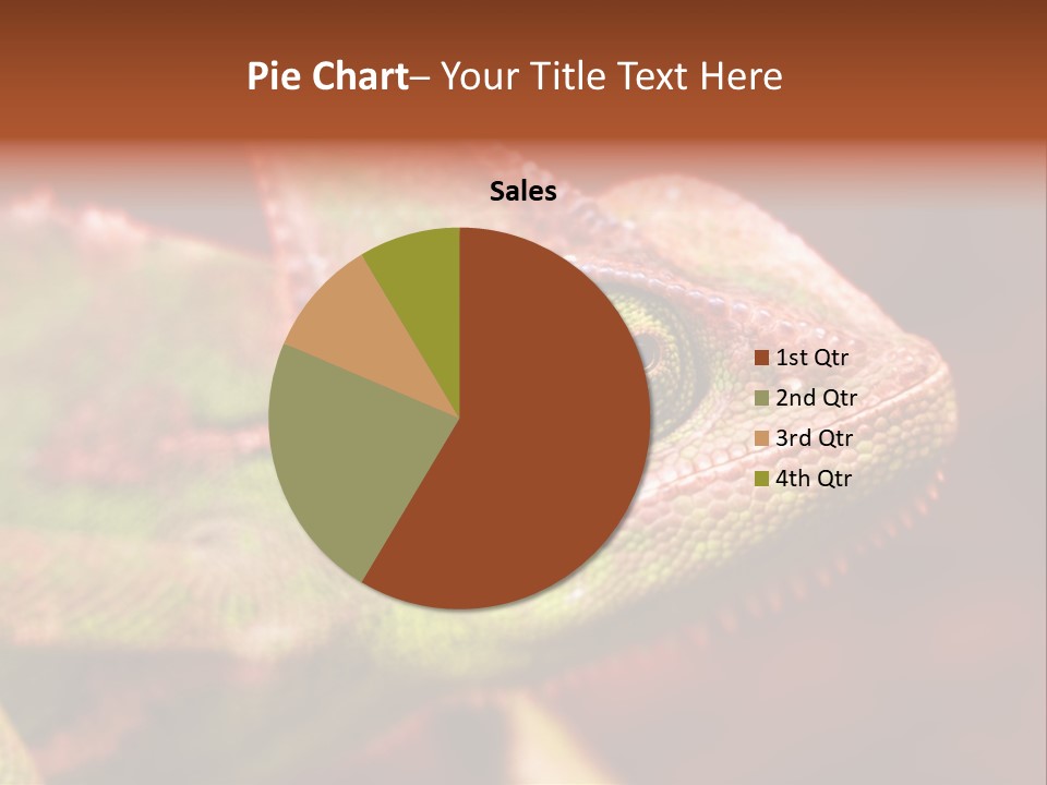 Effect Color Macro PowerPoint Template