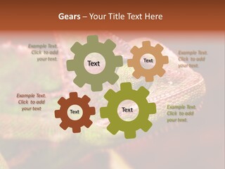 Effect Color Macro PowerPoint Template