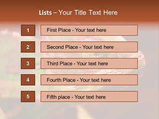 Effect Color Macro PowerPoint Template