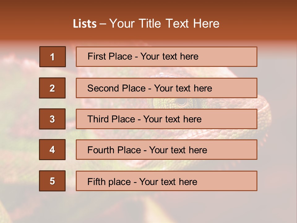 Effect Color Macro PowerPoint Template
