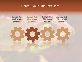 Effect Color Macro PowerPoint Template