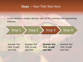 Effect Color Macro PowerPoint Template