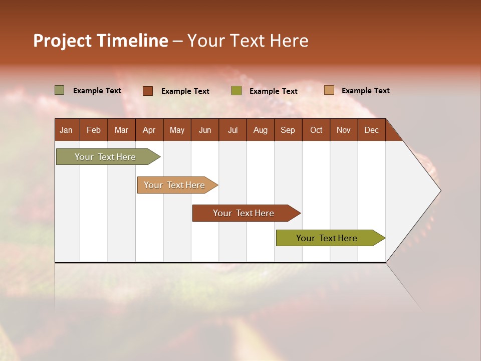 Effect Color Macro PowerPoint Template