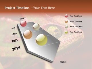 Effect Color Macro PowerPoint Template