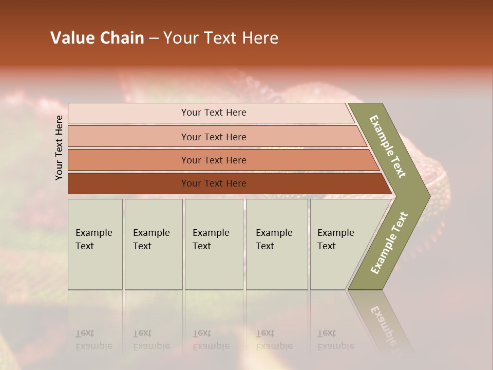 Effect Color Macro PowerPoint Template