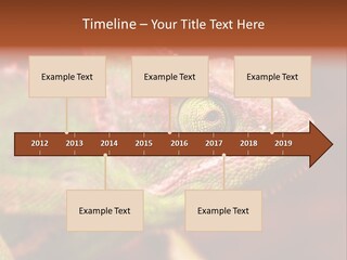 Effect Color Macro PowerPoint Template