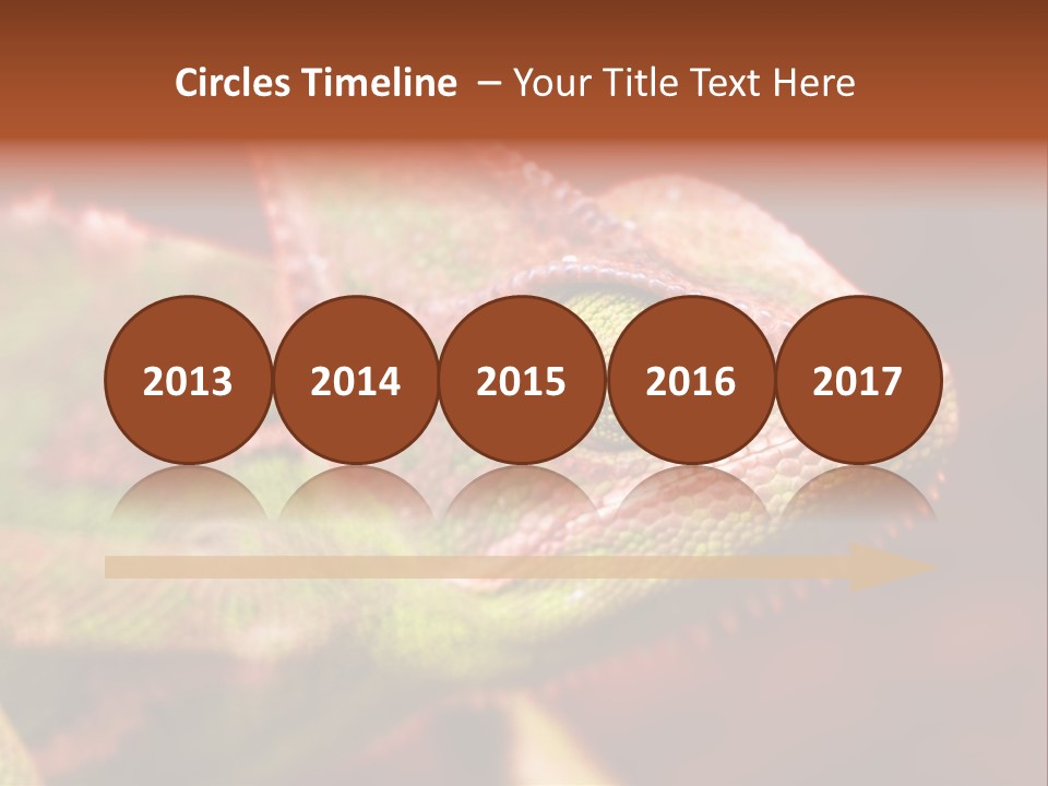 Effect Color Macro PowerPoint Template