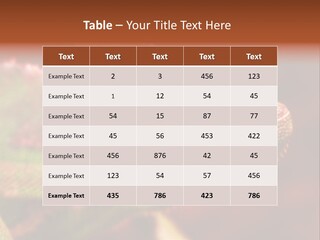 Effect Color Macro PowerPoint Template
