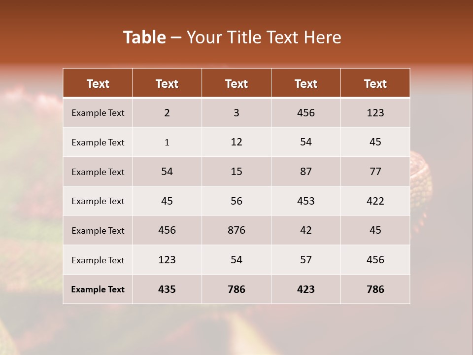 Effect Color Macro PowerPoint Template