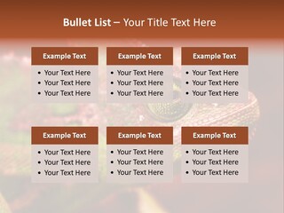 Effect Color Macro PowerPoint Template