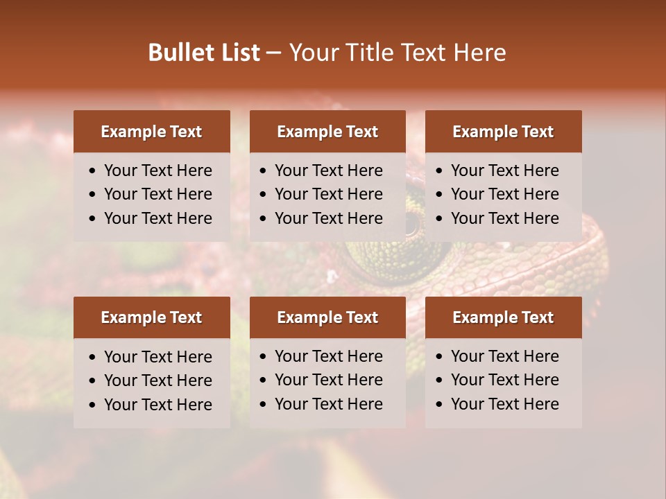 Effect Color Macro PowerPoint Template