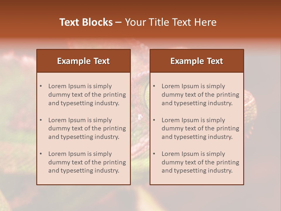 Effect Color Macro PowerPoint Template