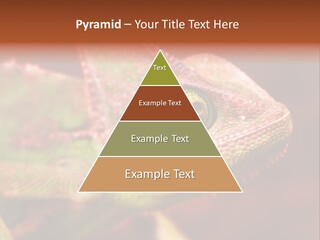 Effect Color Macro PowerPoint Template