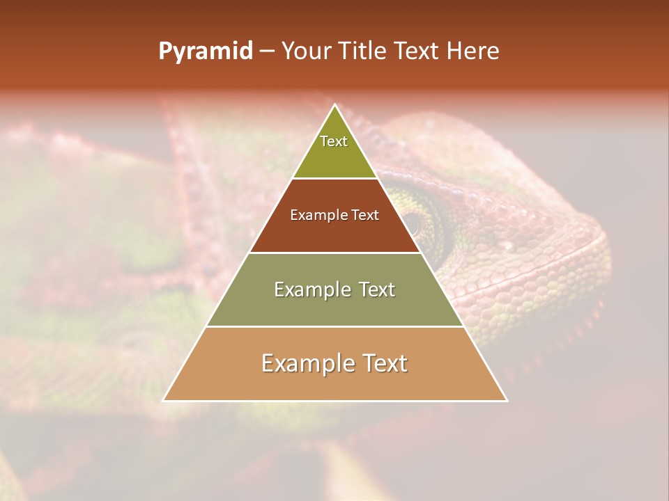 Effect Color Macro PowerPoint Template