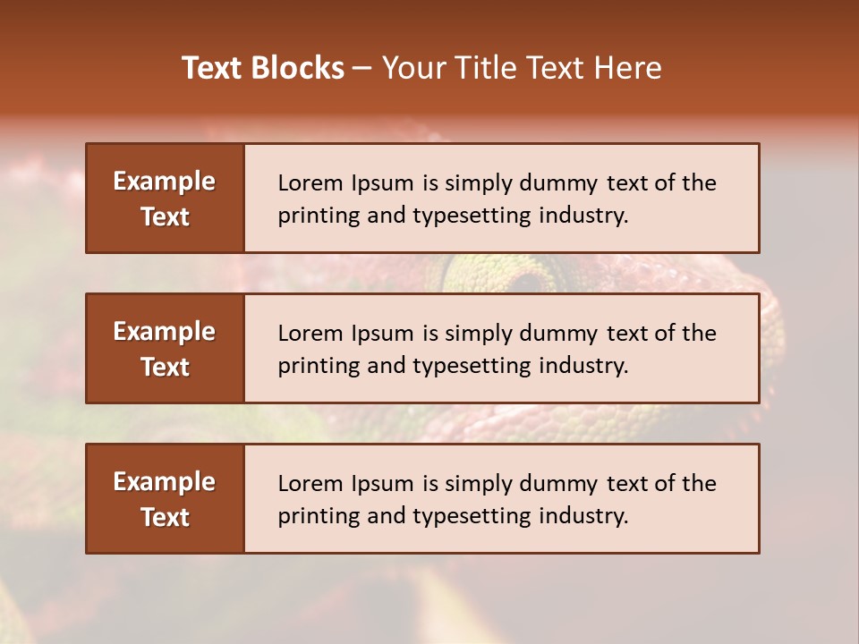 Effect Color Macro PowerPoint Template