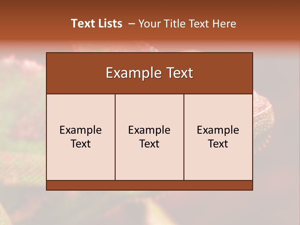 Effect Color Macro PowerPoint Template