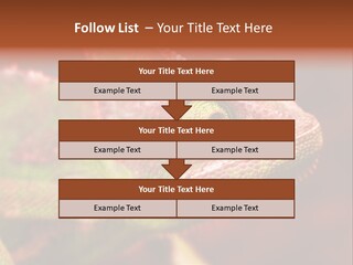 Effect Color Macro PowerPoint Template