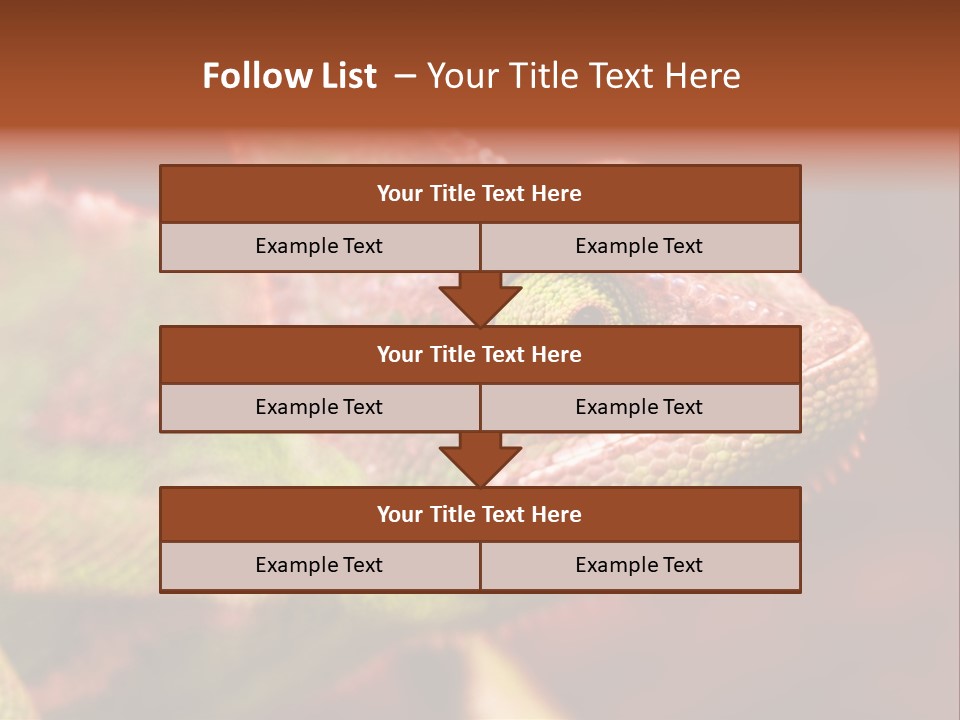 Effect Color Macro PowerPoint Template